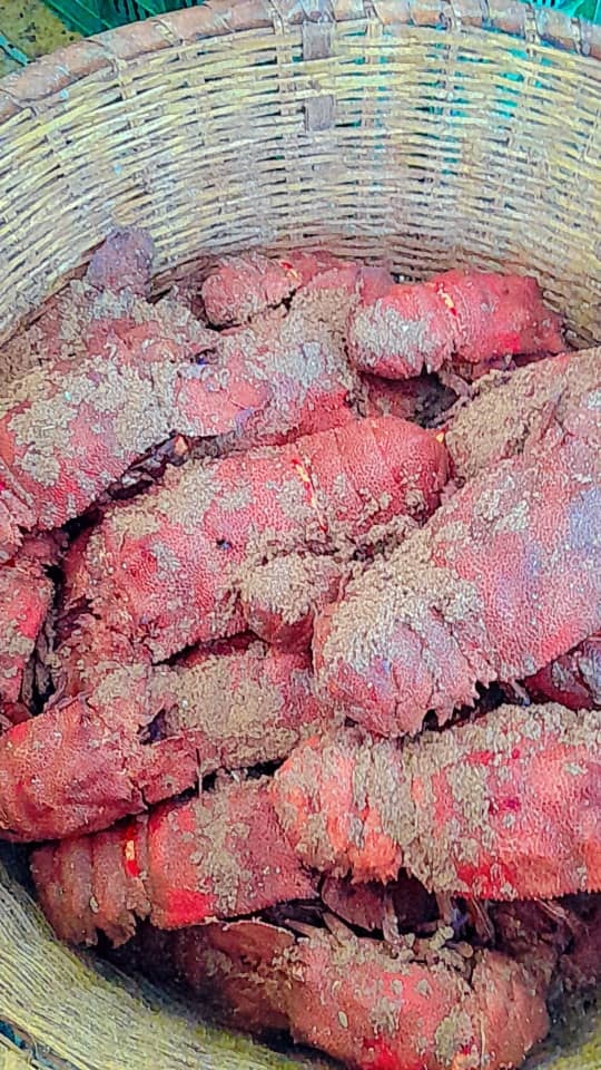 Produits de la mer – ORION FISH